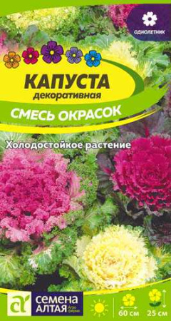 Капуста Декоративная Смесь окрасок  купить