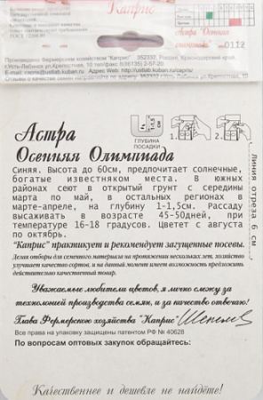 Астра Осенняя олимпиада/1шт купить