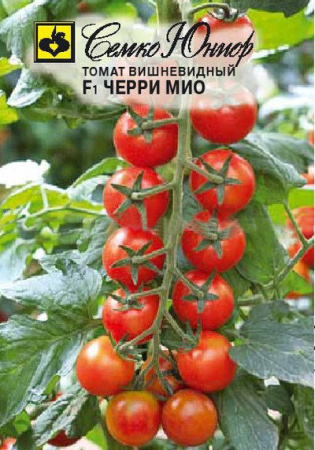 Томат Черри Мио F1  купить