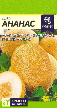 Дыня Ананас  купить