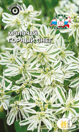 Молочай Горный снег купить