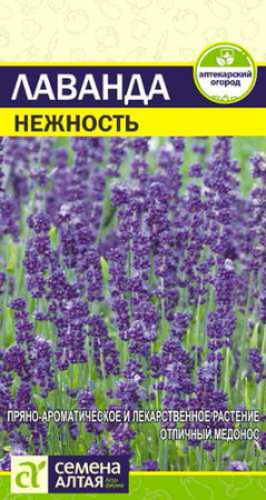 Лаванда Нежность  купить