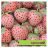Земляника Анабланка садовая купить