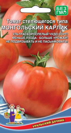 Томат Монгольский Карлик стелющегося типа  купить