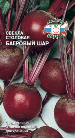 Свекла Багровый шар  купить