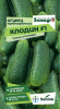 Огурец Клодин F1  купить