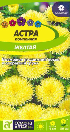 Астра Жёлтая помпонная купить