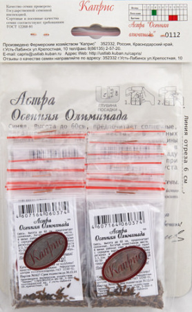 Астра Осенняя олимпиада/1шт купить