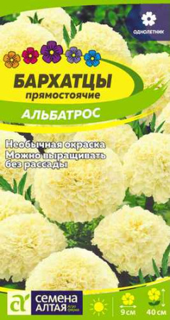 Бархатцы Альбатрос купить