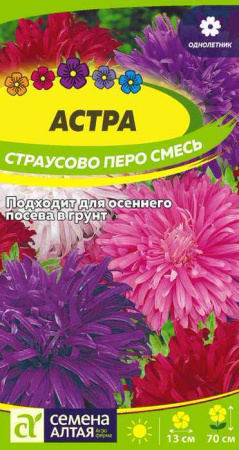 Астра Страусово Перо Смесь окрасок  купить