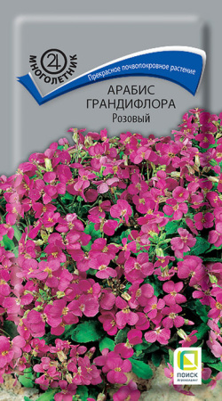 Арабис Розовый грандифлора купить