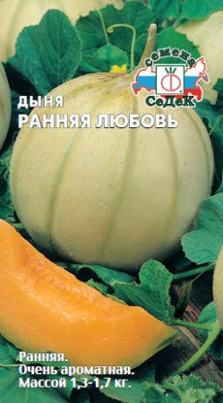 Дыня Ранняя Любовь  купить