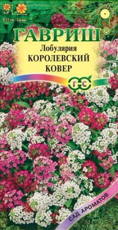 Лобулярия Королевский Ковер  купить