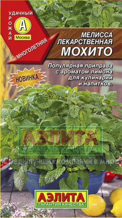 Мелисса Махито лекарственная  купить