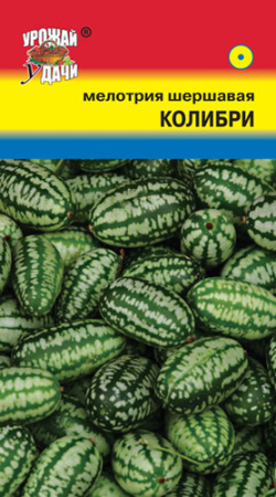 Мелотрия Колибри (мини-арбуз)  купить