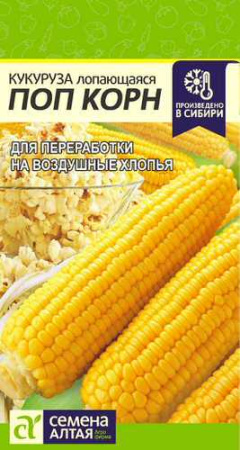 Кукуруза Поп Корн  купить