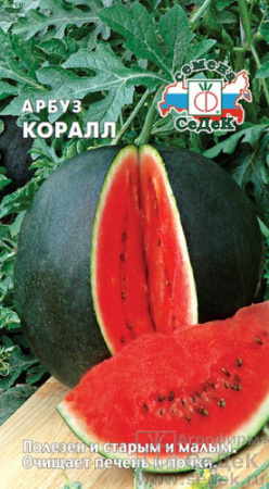 Арбуз Коралл  купить