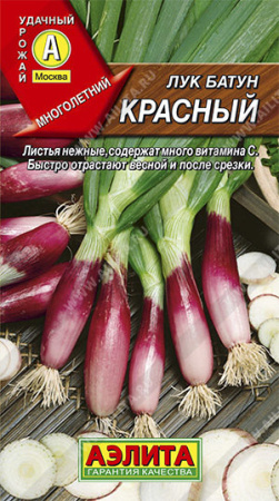 Лук Красный, батун купить