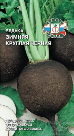 Редька Зимняя круглая черная  купить