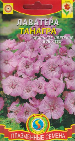 Лаватера Танагра  купить