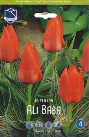 Тюльпан Грейга "Ali Baba" (1х10шт) купить