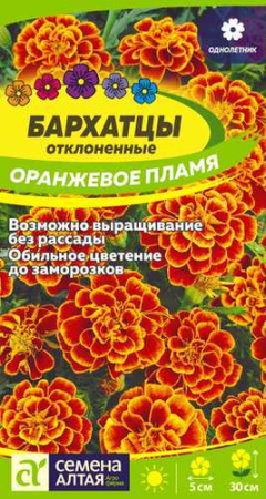 Бархатцы Оранжевое пламя купить