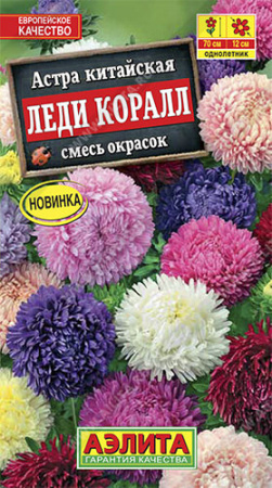 Астра Леди Коралл, смесь купить