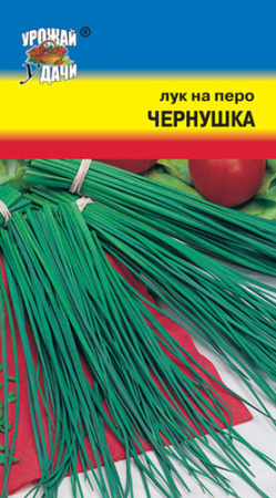 Лук (на зелень) Чернушка  купить