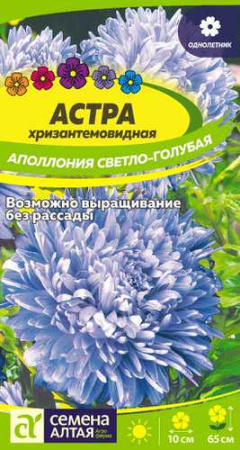 Астра Аполлония Светло-голубая  купить