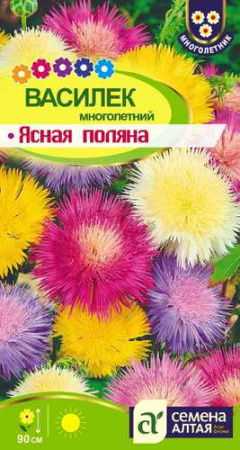 Василек Ясная поляна многолетний купить