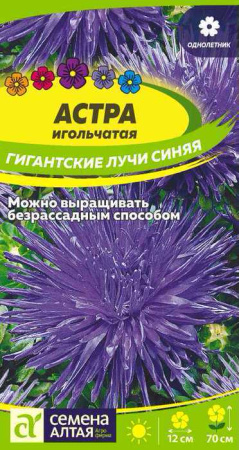 Астра Гигантские лучи Синяя купить
