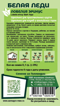 Лобелия Белая Леди  купить