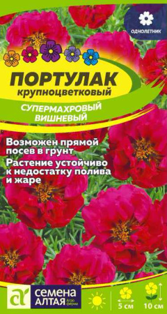 Портулак Супермахровый Вишневый  купить