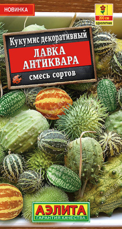 Кукумис декоративный Лавка антиквара,смесь  купить