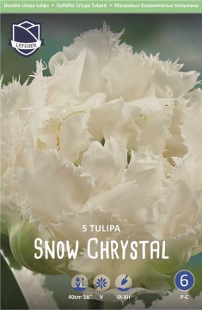 Тюльпан махровый бахромчатый "Snow Crystal" (1х5шт) купить