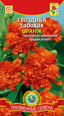 Гвоздика садовая Оранж купить