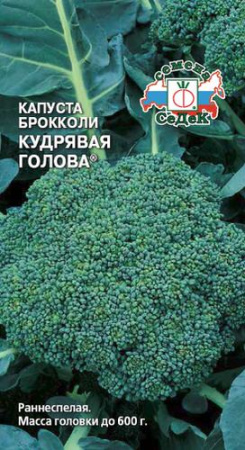 Капуста (брокколи) Кудрявая Голова®  купить