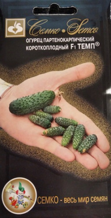 Огурец Темп F1 купить