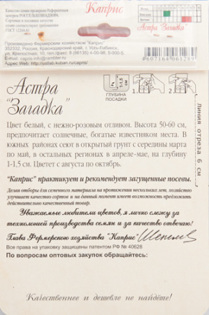 Астра Загадка/1шт купить