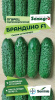 Огурец Брандино F1  купить