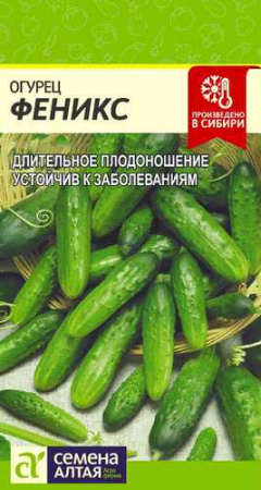 Огурец Феникс купить