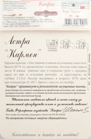 Астра Кармен/1шт купить