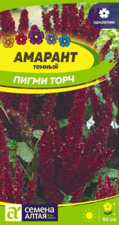 Амарант Пигми Торч темный купить