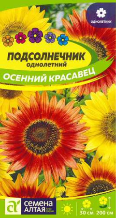 Подсолнечник Осенний красавец  купить