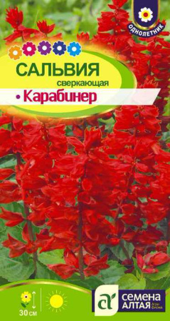 Сальвия Карабинер сверкающая купить
