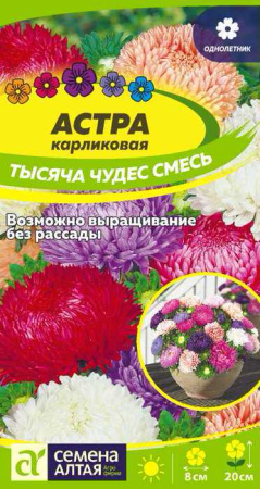 Астра Тысяча чудес смесь карликовая купить