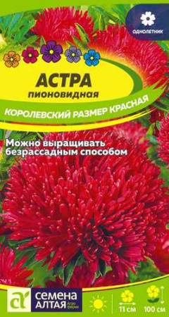 Астра Королевский размер Красная купить