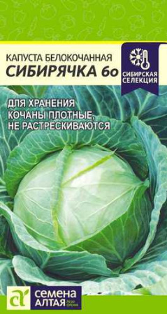 Капуста Сибирячка 60 купить