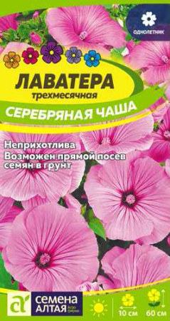 Лаватера Серебряная чаша  купить