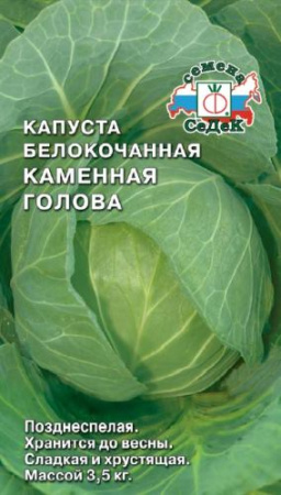 Капуста Каменная голова  купить